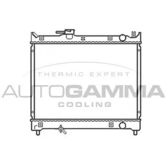 Radiateur, refroidissement du moteur AUTOGAMMA 102344