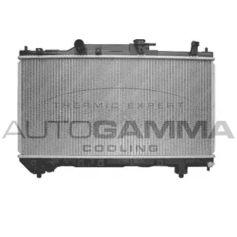 Radiateur, refroidissement du moteur AUTOGAMMA 102348