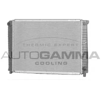 Radiateur, refroidissement du moteur AUTOGAMMA 102385