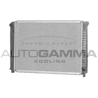 Radiateur, refroidissement du moteur AUTOGAMMA 102386