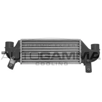Intercooler, échangeur AUTOGAMMA 102401