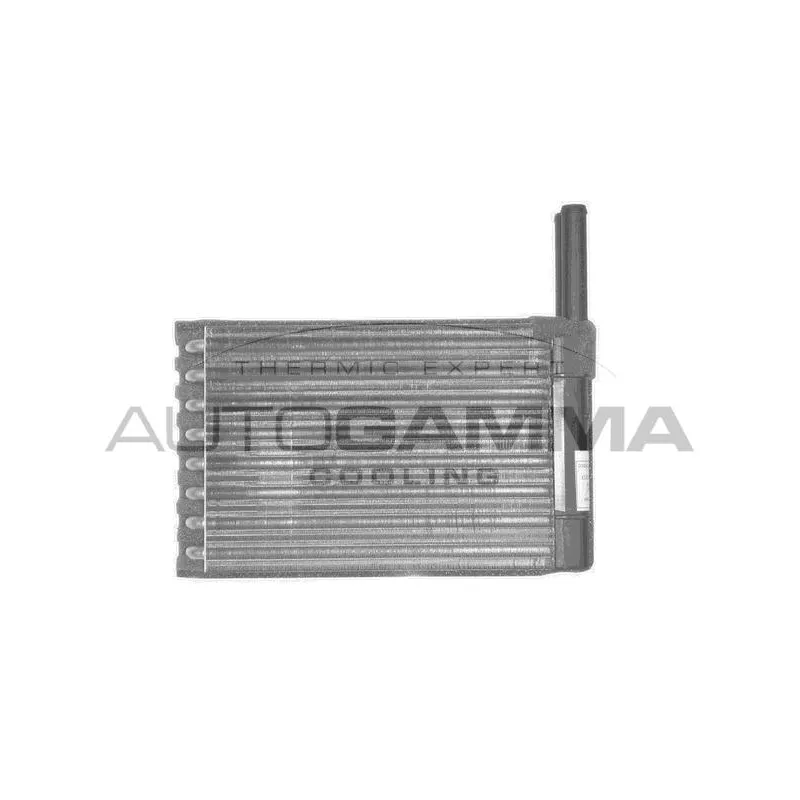 Système de chauffage AUTOGAMMA 102437