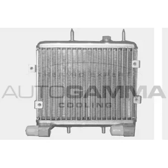 Radiateur d'huile AUTOGAMMA 102513