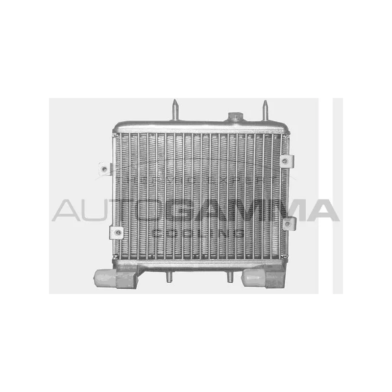 Radiateur d'huile AUTOGAMMA 102513