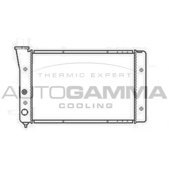 Radiateur, refroidissement du moteur AUTOGAMMA 102576