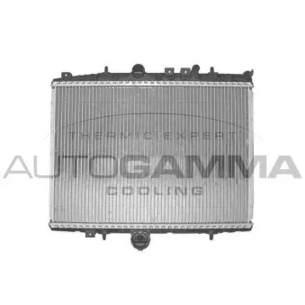 Radiateur, refroidissement du moteur AUTOGAMMA 102591