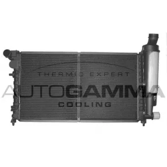 Radiateur, refroidissement du moteur AUTOGAMMA 102844