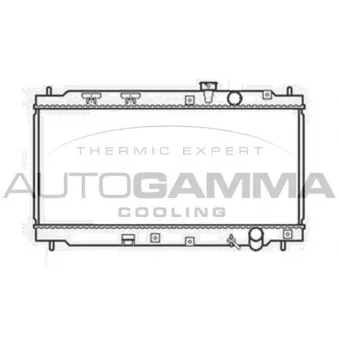 Radiateur, refroidissement du moteur AUTOGAMMA 102855