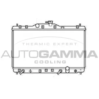 Radiateur, refroidissement du moteur AUTOGAMMA 102856
