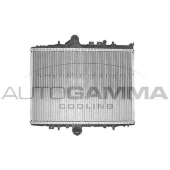 Radiateur, refroidissement du moteur AUTOGAMMA 102859