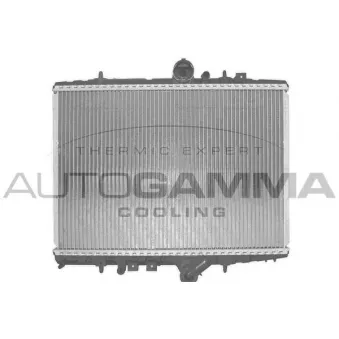 Radiateur, refroidissement du moteur AUTOGAMMA 102860