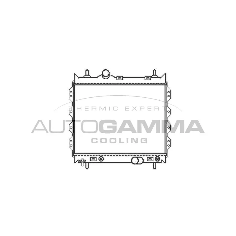 Radiateur, refroidissement du moteur AUTOGAMMA 102861
