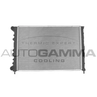 Radiateur, refroidissement du moteur AUTOGAMMA 102864
