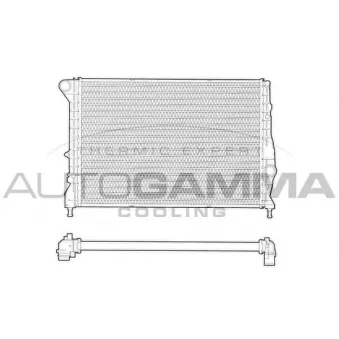 Radiateur, refroidissement du moteur AUTOGAMMA 102884