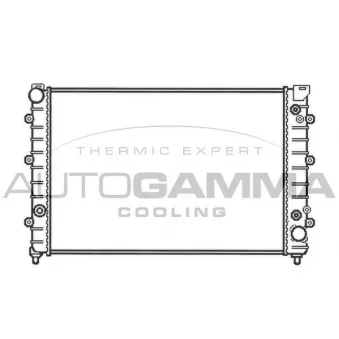 Radiateur, refroidissement du moteur AUTOGAMMA 102893