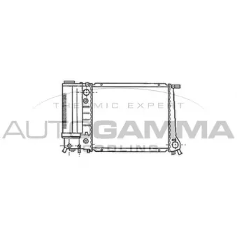 Radiateur, refroidissement du moteur AUTOGAMMA 102898
