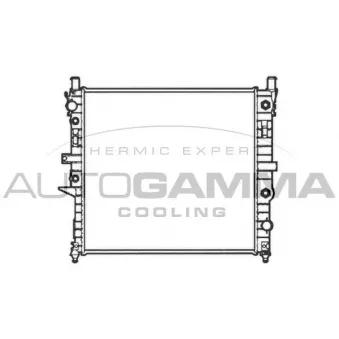 Radiateur, refroidissement du moteur AUTOGAMMA 102922