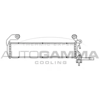 Radiateur, refroidissement du moteur AUTOGAMMA 102924