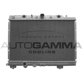 Radiateur, refroidissement du moteur AUTOGAMMA 102943