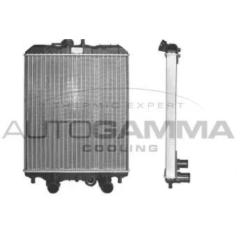 Radiateur, refroidissement du moteur AUTOGAMMA