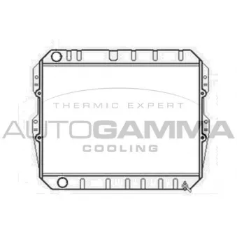 Radiateur, refroidissement du moteur AUTOGAMMA 102974