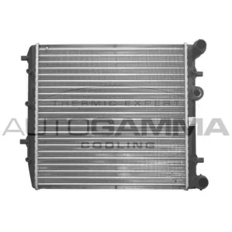 Radiateur, refroidissement du moteur AUTOGAMMA 102978