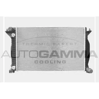 Radiateur, refroidissement du moteur AUTOGAMMA 102984