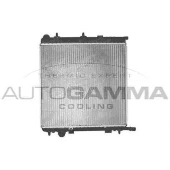 Radiateur, refroidissement du moteur AUTOGAMMA 102991