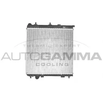 Radiateur, refroidissement du moteur AUTOGAMMA 102992