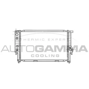 Radiateur, refroidissement du moteur AUTOGAMMA 103035