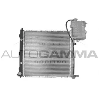 Radiateur, refroidissement du moteur AUTOGAMMA 103046