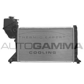 Radiateur, refroidissement du moteur AUTOGAMMA 103047