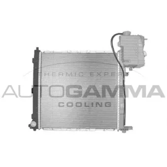 Radiateur, refroidissement du moteur AUTOGAMMA 103049