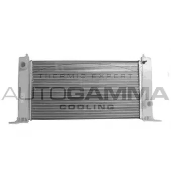 Radiateur, refroidissement du moteur AUTOGAMMA 103053