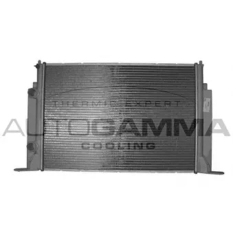 Radiateur, refroidissement du moteur AUTOGAMMA 103055