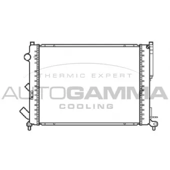 Radiateur, refroidissement du moteur AUTOGAMMA 103066