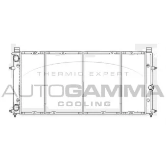 Radiateur, refroidissement du moteur AUTOGAMMA 103068
