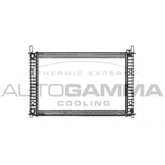 Radiateur, refroidissement du moteur AUTOGAMMA