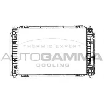 Radiateur, refroidissement du moteur AUTOGAMMA 103075