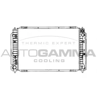 Radiateur, refroidissement du moteur AUTOGAMMA 103076
