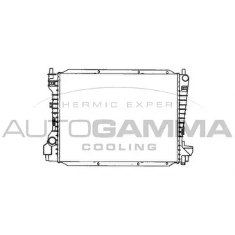 Radiateur, refroidissement du moteur AUTOGAMMA