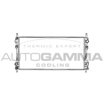 Radiateur, refroidissement du moteur AUTOGAMMA 103097