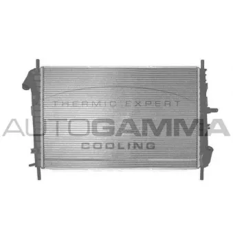 Radiateur, refroidissement du moteur AUTOGAMMA 103102