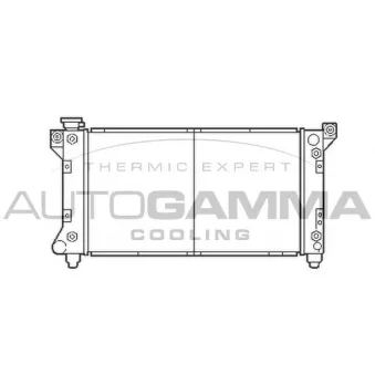 Radiateur, refroidissement du moteur AUTOGAMMA 103135