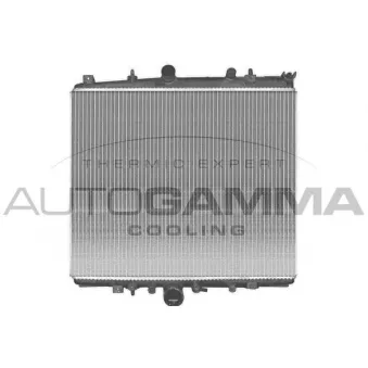 Radiateur, refroidissement du moteur AUTOGAMMA 103167