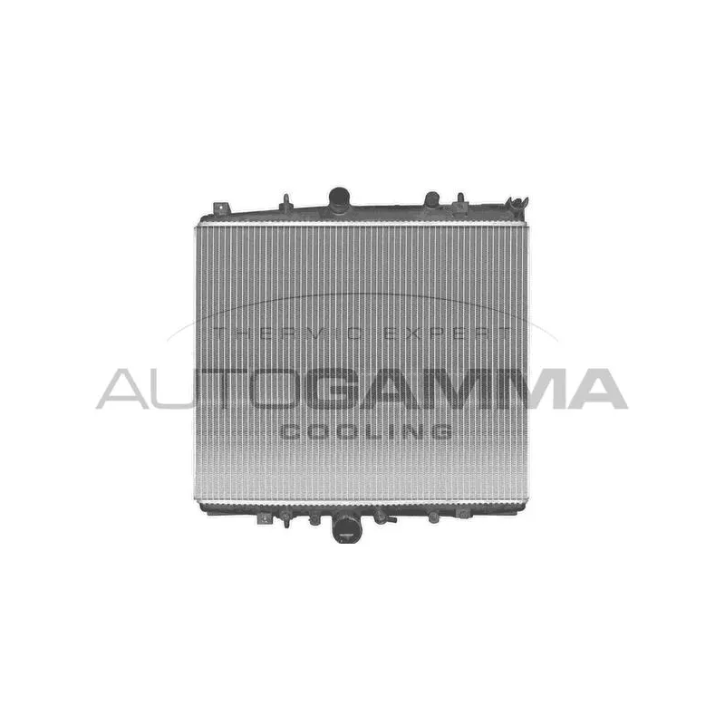 Radiateur, refroidissement du moteur AUTOGAMMA 103167