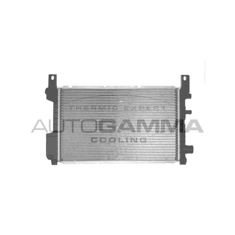 Radiateur, refroidissement du moteur AUTOGAMMA 103169