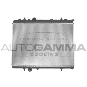 Radiateur, refroidissement du moteur AUTOGAMMA 103171