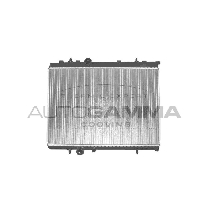 Radiateur, refroidissement du moteur AUTOGAMMA 103171