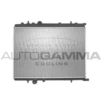 Radiateur, refroidissement du moteur AUTOGAMMA 103172